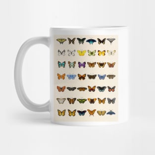 Watercolor Butterfly Chart Mug